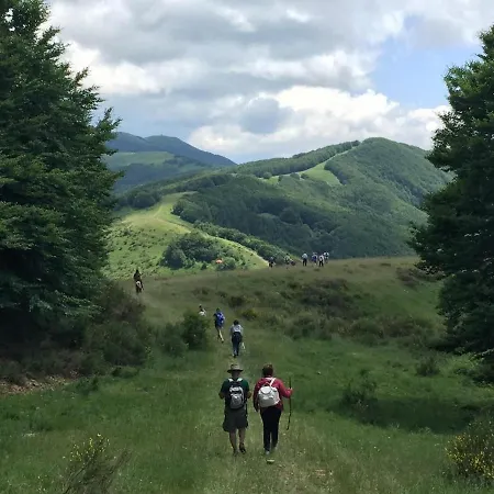 Tuscany, Loro Ciuffenna Mountain Bike&walking דירה San Clemente in Valle
