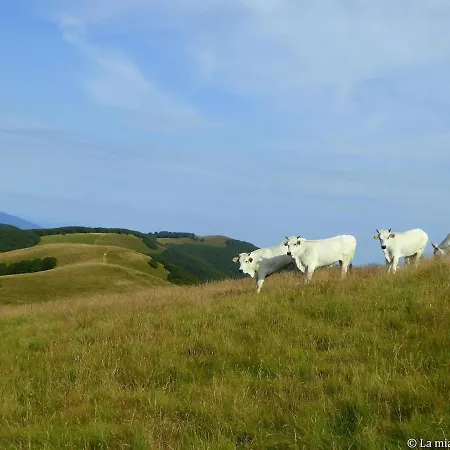 Tuscany, Loro Ciuffenna Mountain Bike&walking *