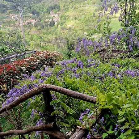 Tuscany, Loro Ciuffenna Mountain Bike&walking شقة *