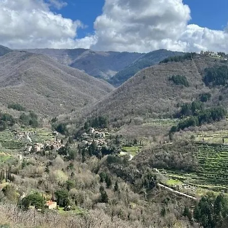Tuscany, Loro Ciuffenna Mountain Bike&walking شقة