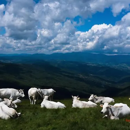 Tuscany, Loro Ciuffenna Mountain Bike&walking