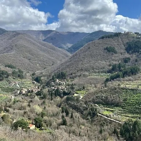 Daire Tuscany, Loro Ciuffenna Mountain Bike&walking *